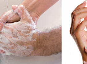 Allegrini - Igiena mainilor